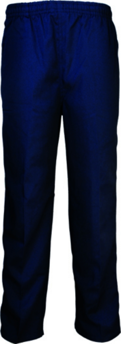 Picture of Brisbane Waters Sec College Trouser, Navy